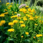 1ABP7xSAAR7Llup8yBI5Q