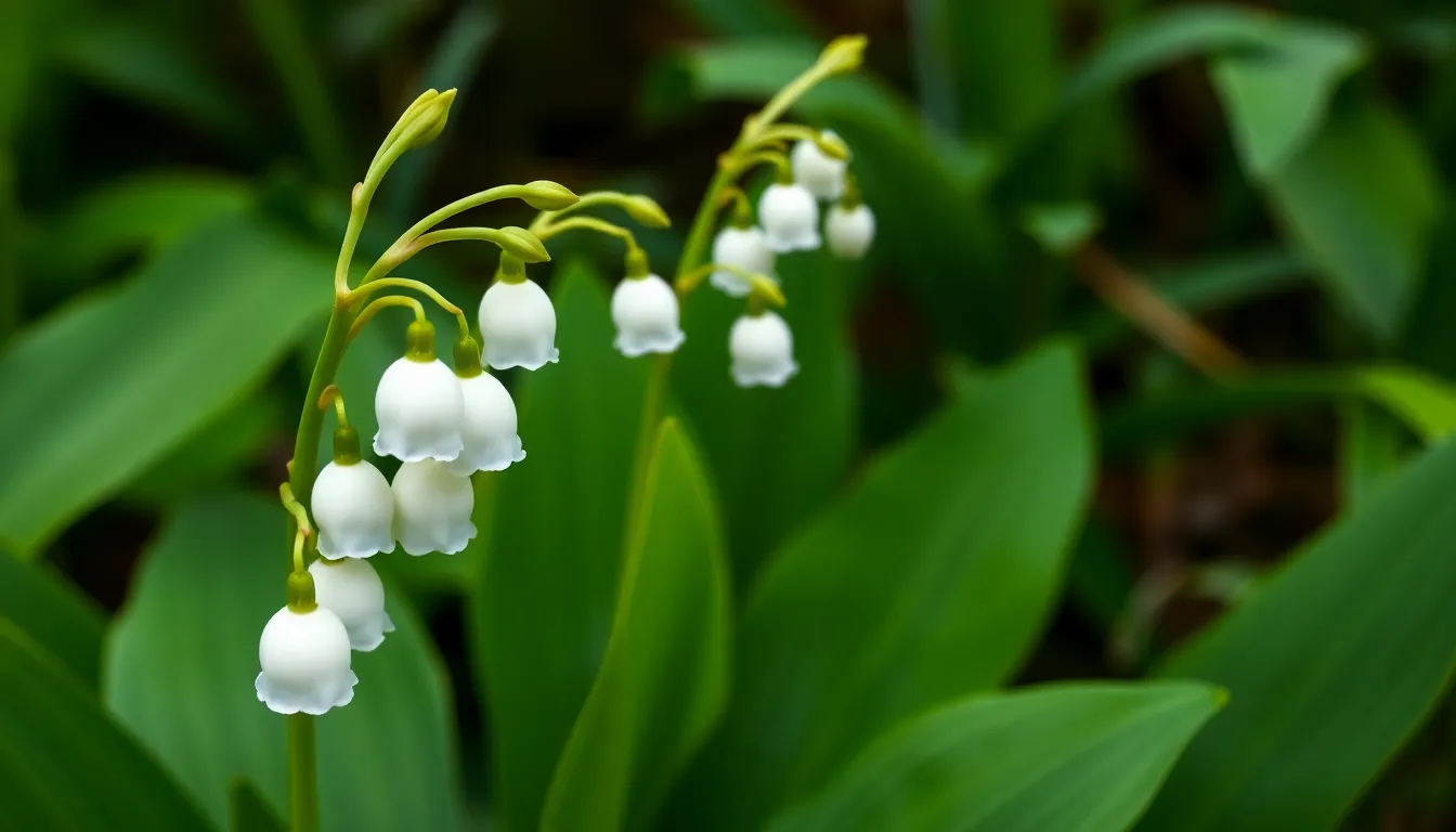 15 Stunning Bell Shaped Flowers That Will Transform Your Garden This Season 6 15 Stunning Bell Shaped Flowers That Will Transform Your Garden This Season 5