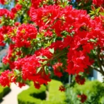 4ZhxX25EAEZFAP2rBC5F2