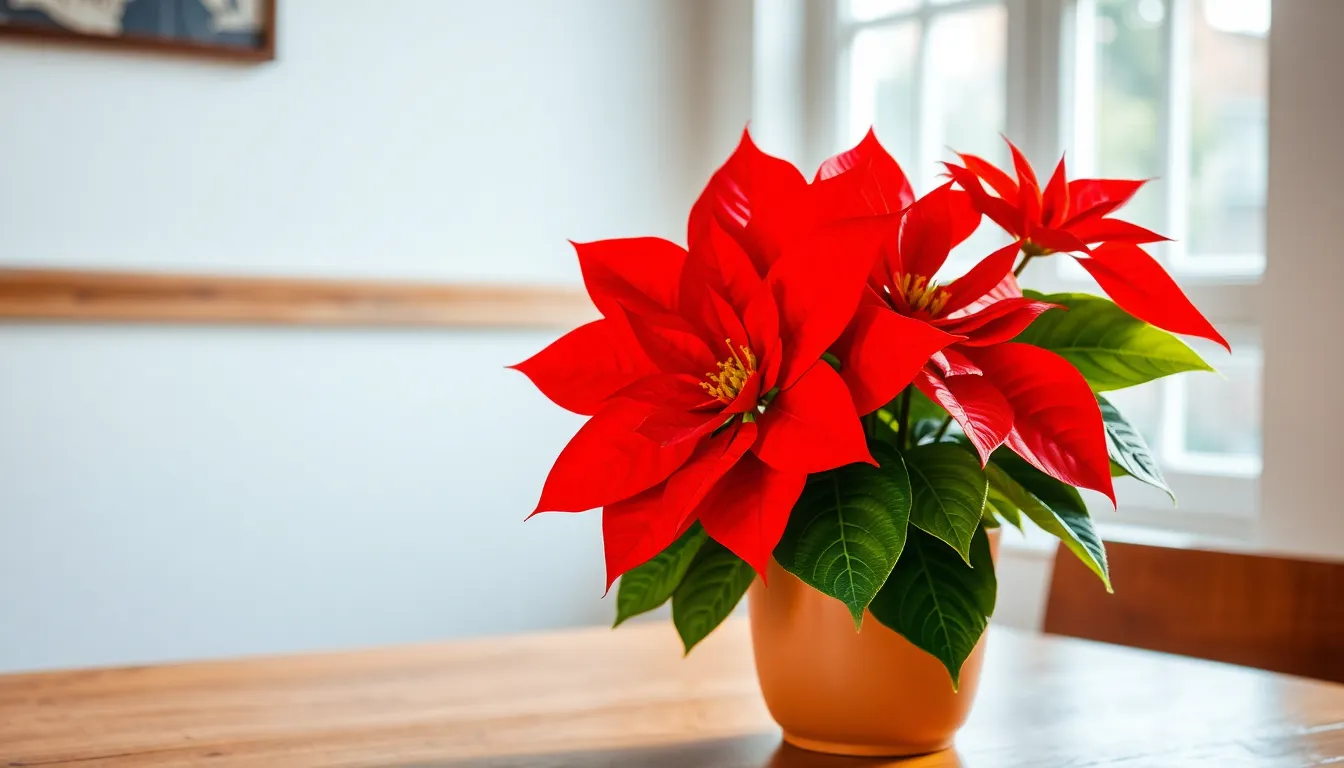 12 Stunning Houseplants with Red Leaves That Transform Any Room (Easy Care Guide) 18 12 Stunning Houseplants with Red Leaves That Transform Any Room (Easy Care Guide) 17