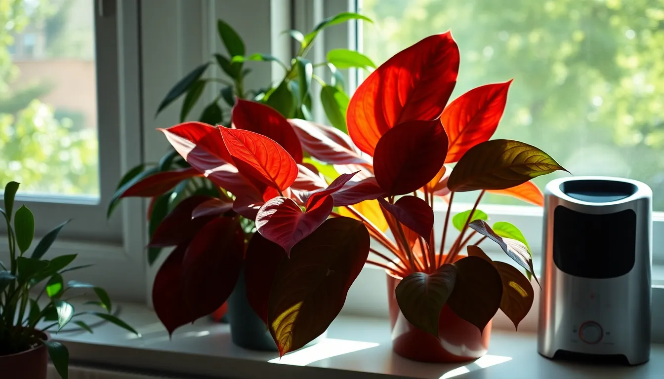 12 Stunning Houseplants with Red Leaves That Transform Any Room (Easy Care Guide) 20 12 Stunning Houseplants with Red Leaves That Transform Any Room (Easy Care Guide) 19