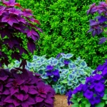 e5Kysn1hG03dHN KLlaKL