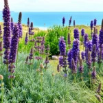 jjZgIvAOAMH F 7zbrVX